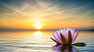 5 AM Affirmations: Cultivate Inner Peace and a Focused Mindset for Your Day