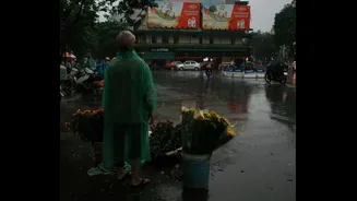 How to Care for Pets During the Indian Monsoon