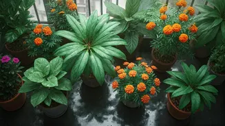 Monsoon Balcony Gardening Is Fully Having A Moment