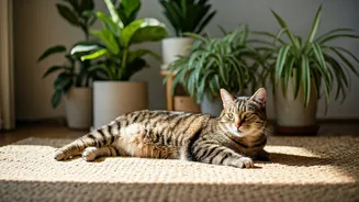 Greener Homes Help Pets Feel Less Stressed