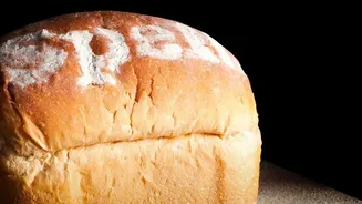 Sourdough Baking Blueprint: Nurture Wild Yeast Starter With Indian Wheat Flour