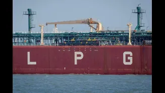 Govt Dismisses Reports On LPG Shortage, Says ‘Supply Stable; Misleading Reports Create Panic’