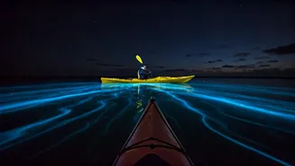 Bioluminescence Kayaking Makes Andaman Trips Unforgettable