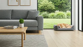 Pet-Friendly Homes Need Flow, Fabric And Function