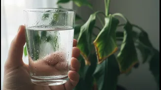 Monsoon Humidity Changes Hydration Needs More Than Many People Expect