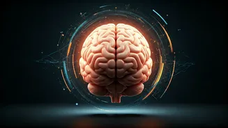 Unlock Your Brain's Potential: 5 Proven Strategies for a Sharper Memory