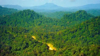 Scenic Western Ghats Escapes: Post-Monsoon Driving Tips For Journeys To Coorg And Satara