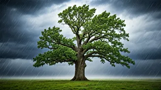 The Enduring Power: Exploring Life's Challenges