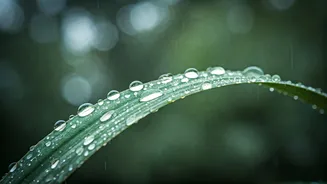 Why Sunscreen Still Matters On Rainy Days