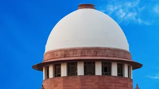India’s First Urban Night Safari Moves Ahead After Supreme Court Approval