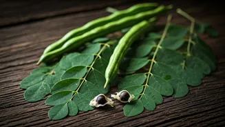 Moringa Can Naturally Unlock Hair Growth