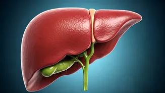 Unhealthy Habits Affecting Your Liver: Doctor's Advice