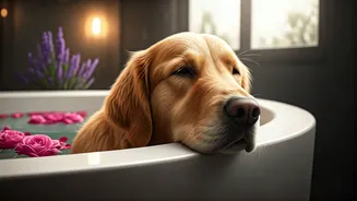 Furry Family Members Indulge In Luxury Herbal Spa Recovery Therapies