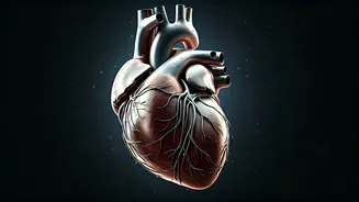 Heart-Healthy Moves: Exercises to Shield Your Heart