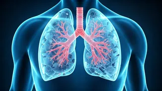 Plastic's Health Toll: Doubling by 2040?