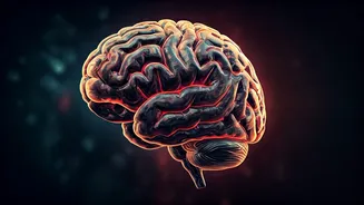 5 Brain-Boosting Exercises for Sharper Minds