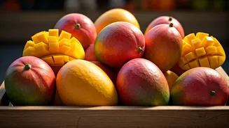 Alphonso To Dasheri: Inside Delhi’s Massive Summer Fruit Fest