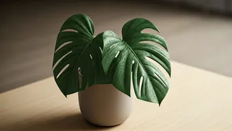 Mastering Plant Hydration: Essential Tips for Thriving Greenery