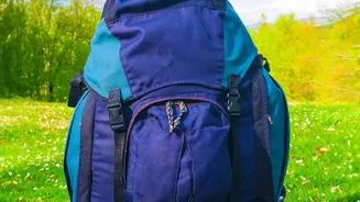 How Budget Rail Passes Streamline Solo Backpacking Across Central India’s Wildlife Parks