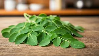 Everyday Indian Meals Need This Leafy Twist