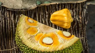 How High-Protein Jackfruit Seed Flour Is Making Gluten-Free Baking More Nutritious