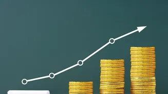 What Startup IPOs Mean For Retail Investors Entering The Market