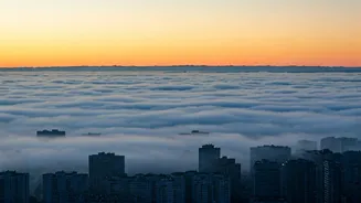 Delhi-NCR Shivers: Fog, Cold Wave Disrupt Life