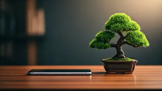 Parental Role in Guiding Children Through Tech: Meditation's Influence