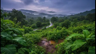 India's Rain Belt Has Entered Travel Mode