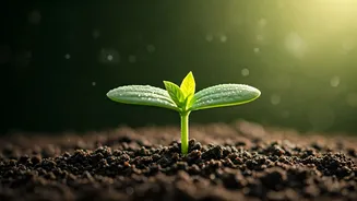 Zodiac Wellness Forecast: April 20-26, 2026 - Embracing Growth, Dodging Stress