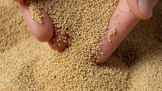 5 delicious dishes made with amaranth