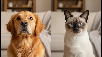 Dog Lovers And Cat Lovers May Experience Stress Differently, Study Says