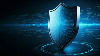 Fortifying Your Online Presence: Understanding Security Verification