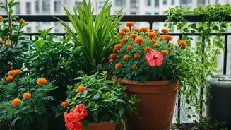 These Monsoon Plants Can Transform Tiny Urban Balconies