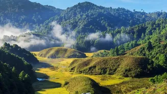 Ziro Valley Workation Ideas: Experience Arunachal Music Festival While Staying Connected Remote