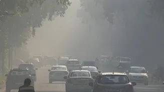 Delhi Weather Today: Capital Wakes Up to Shallow Fog as Winter Nears Its End, AQI Remains Poor