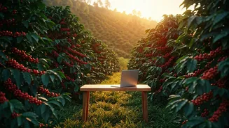 Remote Workers Disconnect At Chikmagalur Coffee Estate Homestays
