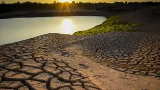 Could Rainfall Shortfalls Reach Your Monthly Food Budget?