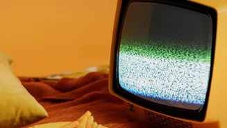 Indian Viewers Are Getting More Choice: How That Is Changing Film-Watching Habits