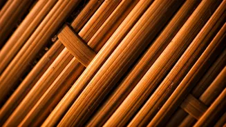 Why Majuli Island Bamboo Craft Workshops Are Viral Online