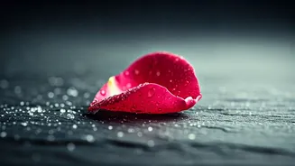 Winter Skin Woes? 5 Common Blunders & How to Bounce Back for Radiant Skin!