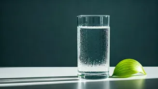 Hydration Hacks Are Trending Around Pandava Nirjala Ekadashi