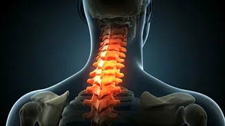 Avoid These Daily Habits for a Healthy Spine