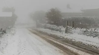 How Fog And Frost Impact Visibility On Winter Mountain Drives In North India
