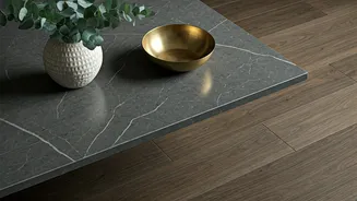 Scratch-Proof Decor Is Beauty With Common Sense