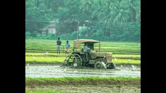 India's monsoon deficit impacts sugar production outlook