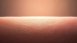 Related Stories banner