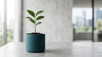 Index Funds vs Active Funds: Why Low-Cost Passive Investing Wins For Young Tier 2 Savers