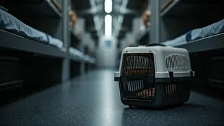 Traveling with Furry Friends: Your Guide to Vande Bharat Sleeper Pet Boxes