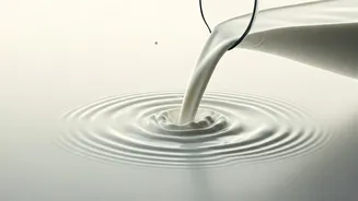 Milk: A Nutritional Powerhouse or Dietary Dilemma? Neha Dhupia Weighs In!